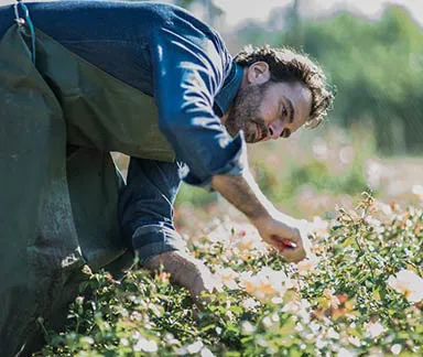 Bahçelievler Bölgesi 