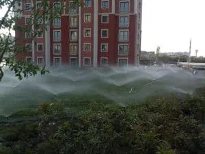 Taş ve Düzenleme